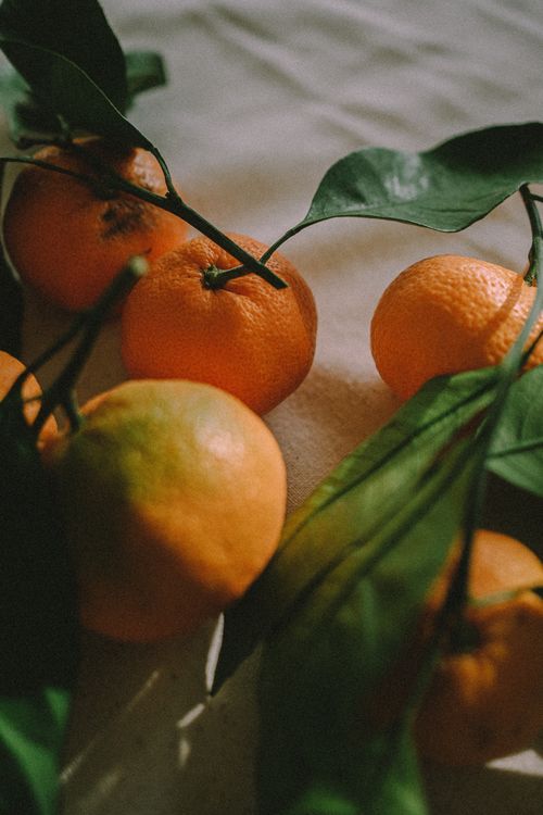 Free Close-up view of fresh tangerines with leaves under natural lighting. Stock Photo