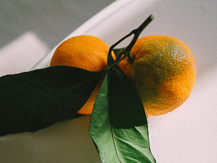 Which fruit has the most estrogen?
