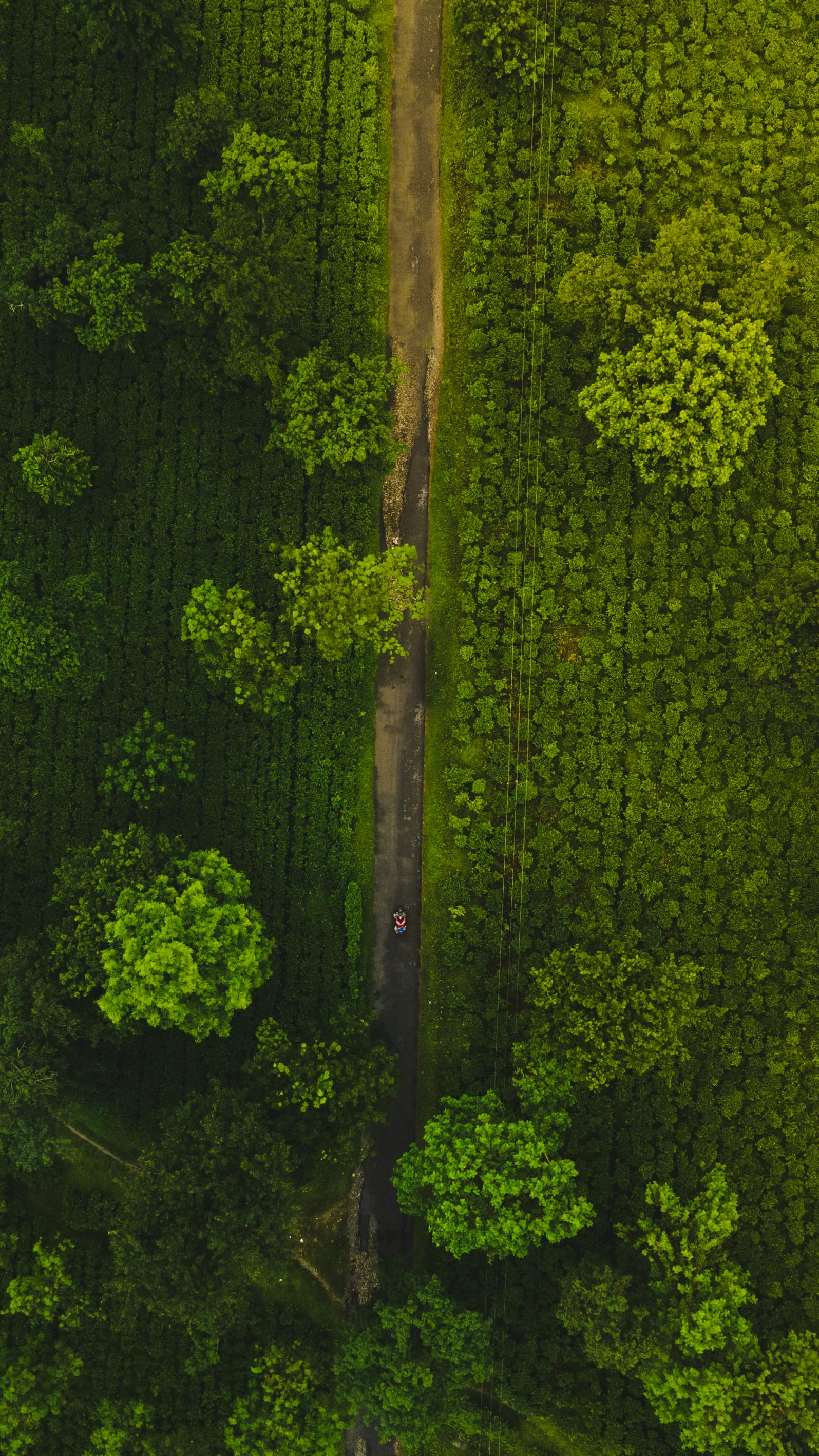 aerial view of a road in the middle of a green field