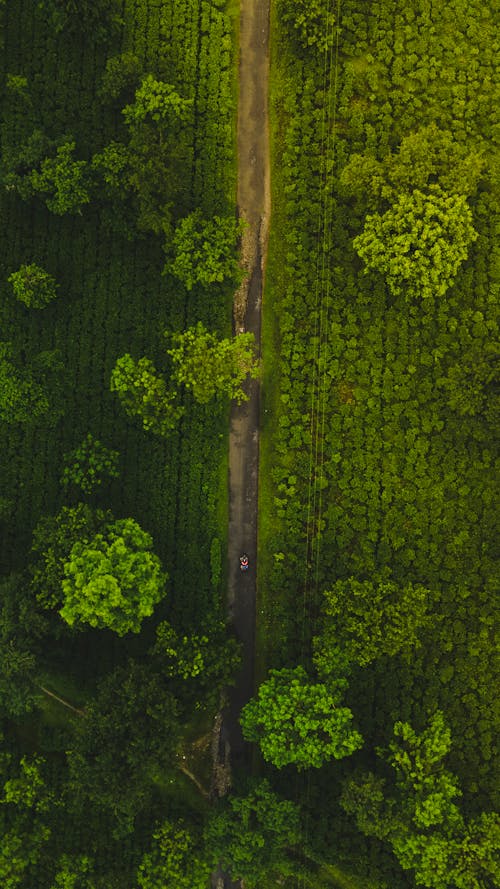 Aerial view of a road in the middle of a green field