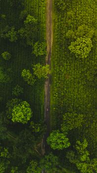 Image by Yogendra  Singh
