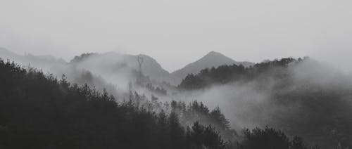 Panoramic View of Foggy Mountains