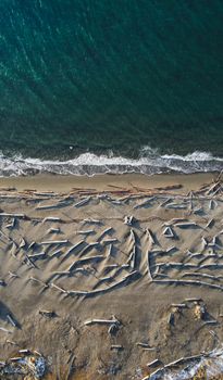 A stunning aerial shot of a sandy beach with driftwood in Vancouver, BC, Canada.