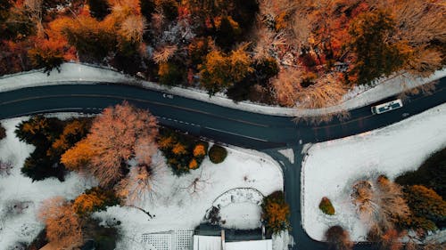 Drone Shot of Road along Forest in Autumn