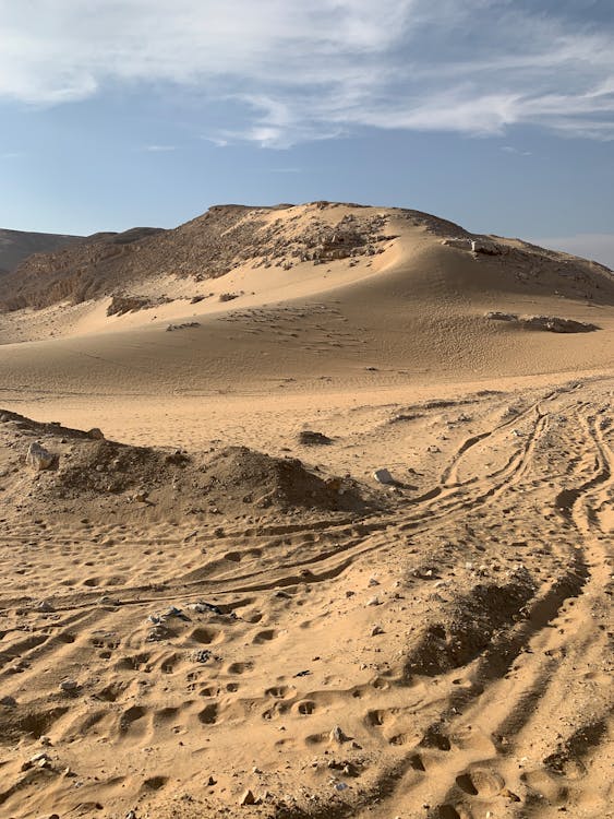 Desert Land with Tracks