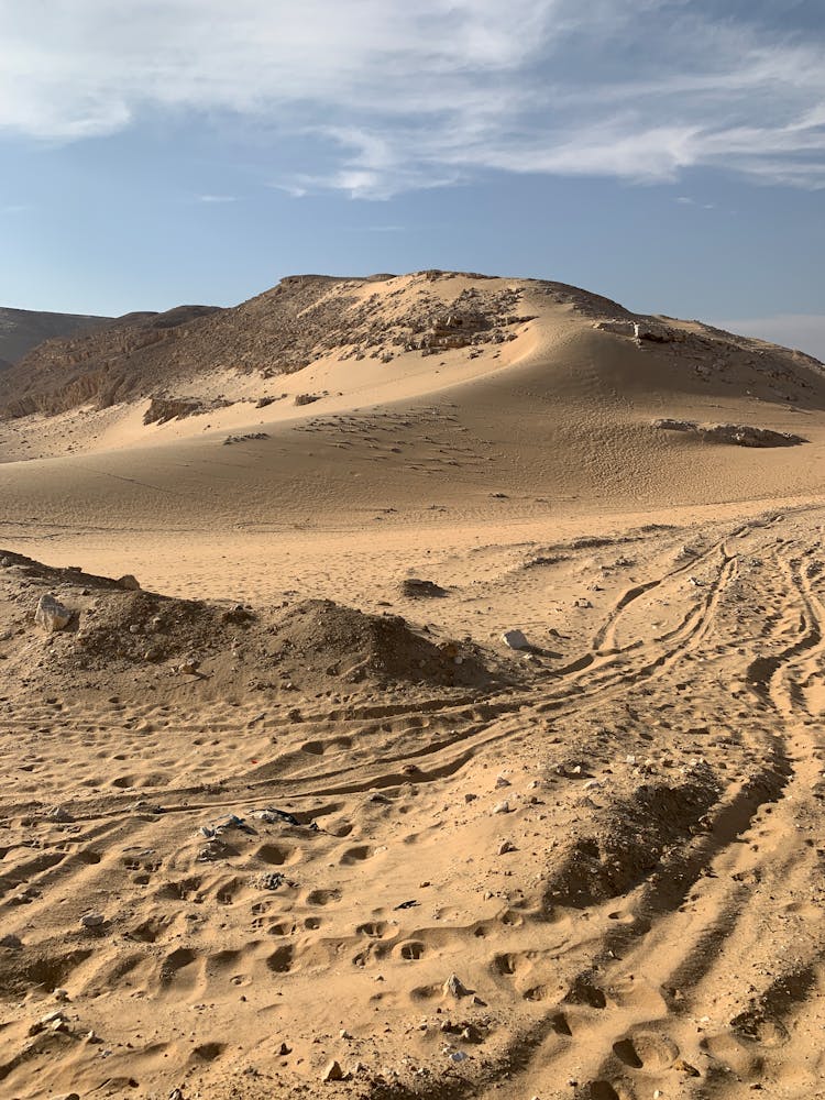 Desert Land With Tracks