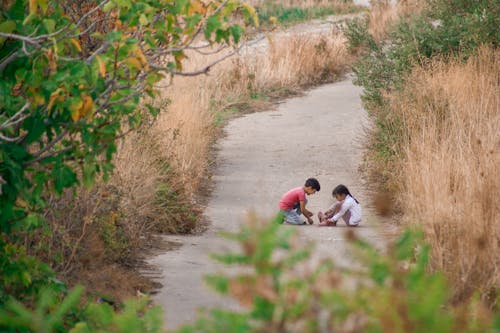 Kids Sitting on Road in between Brown Tall Grass