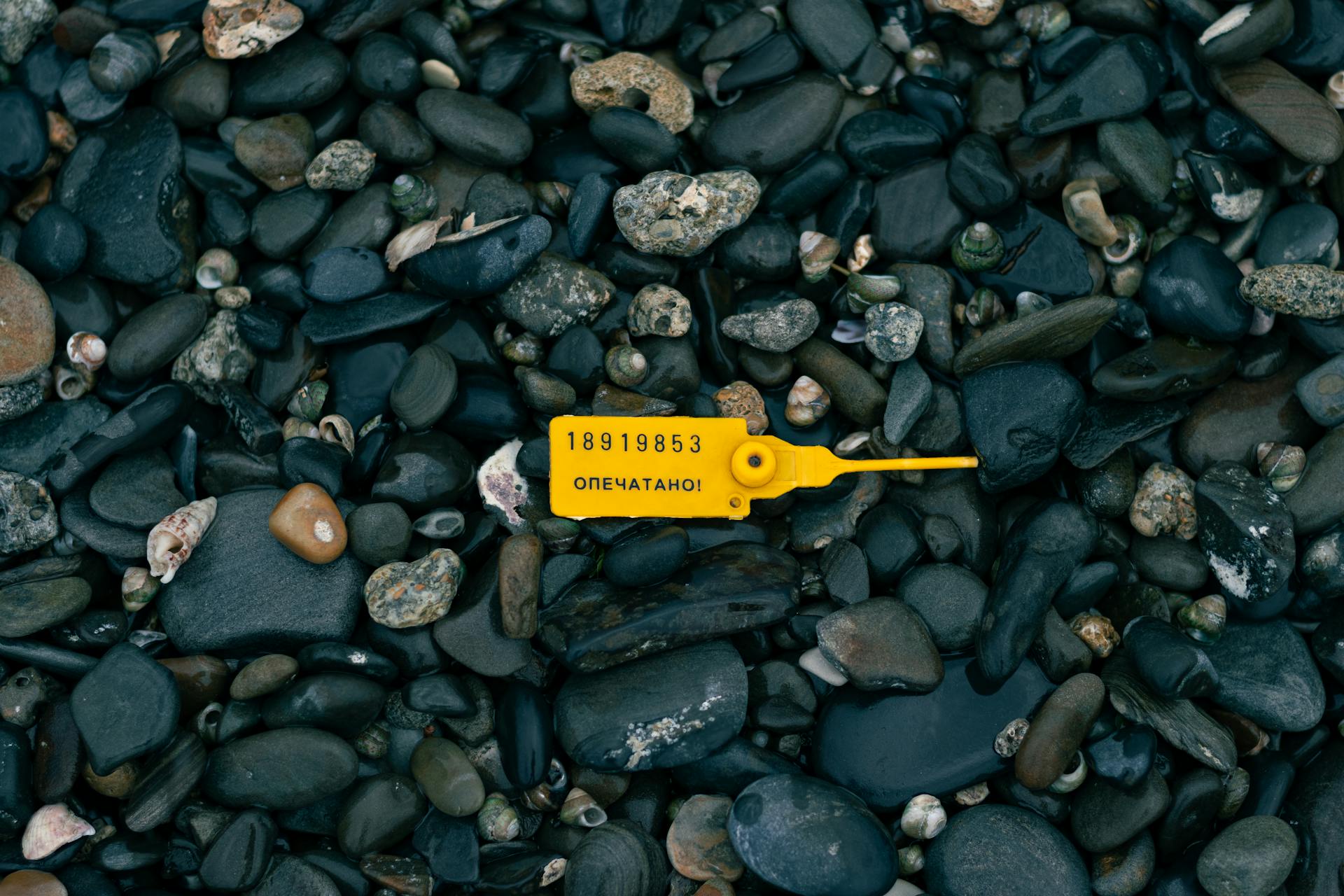 Yellow Plastic Seal on the Ground