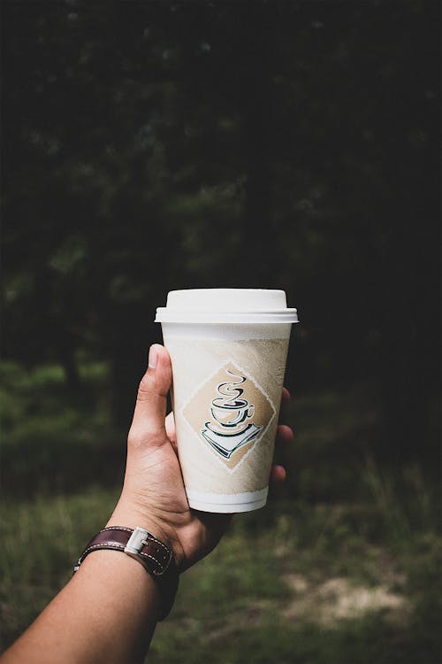 Free Person Holding White Disposable Cup Stock Photo