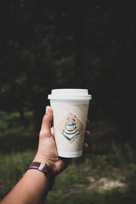 Close-up of a hand holding a paper coffee cup in a natural outdoor setting.
