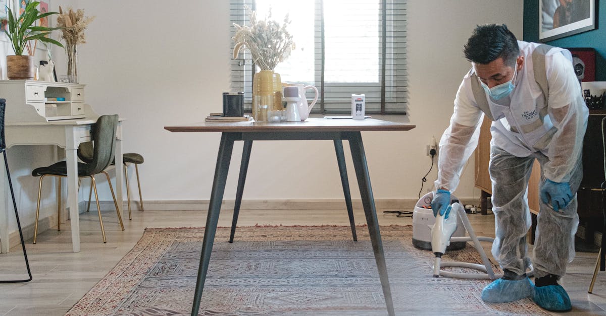 Domestic Cleaning House Cleaning