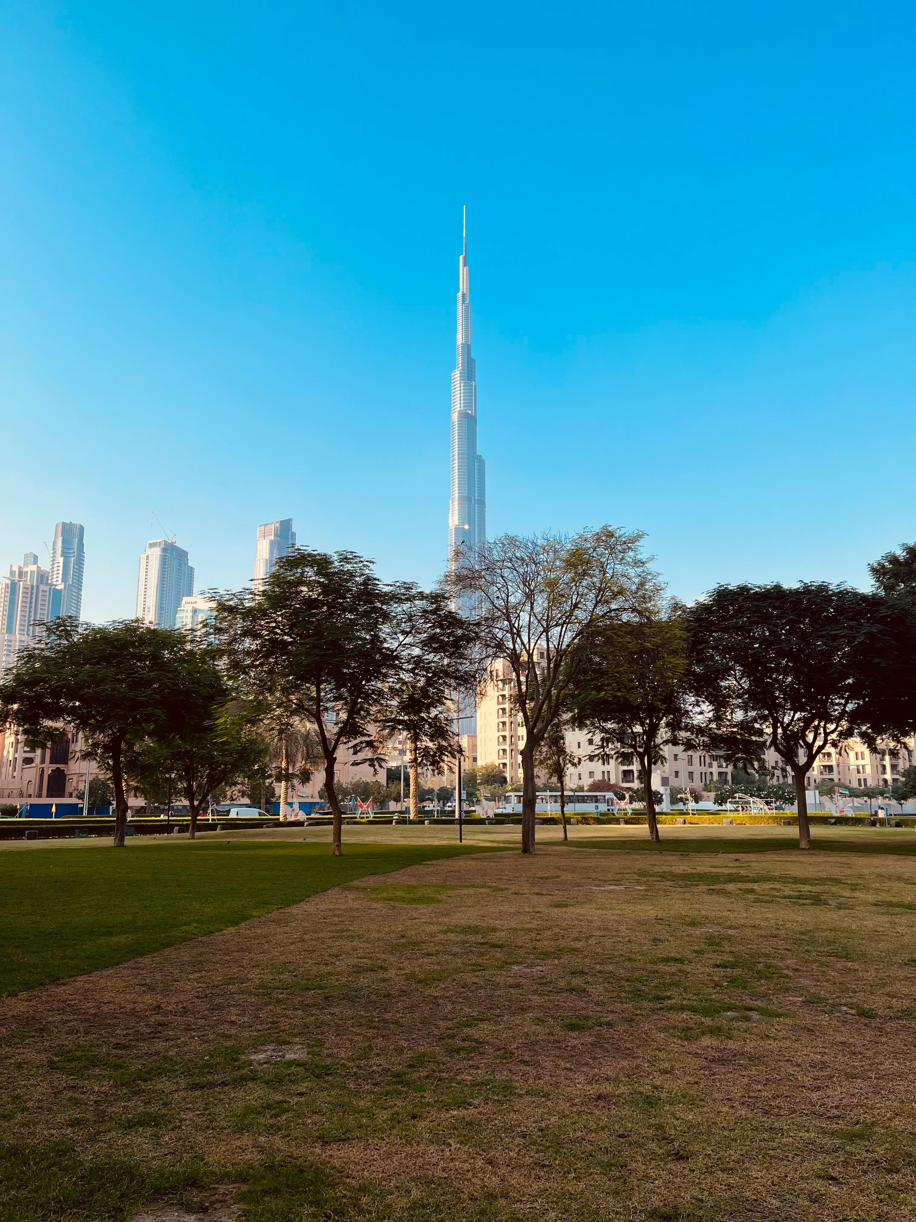 view of burj khalifa from a park