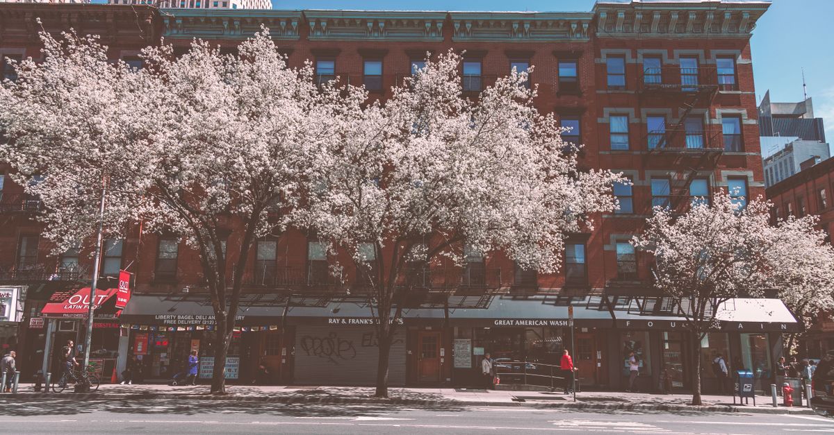 Thumbnail for 39 Murray Hill Buildings Just Earned an A Grade
