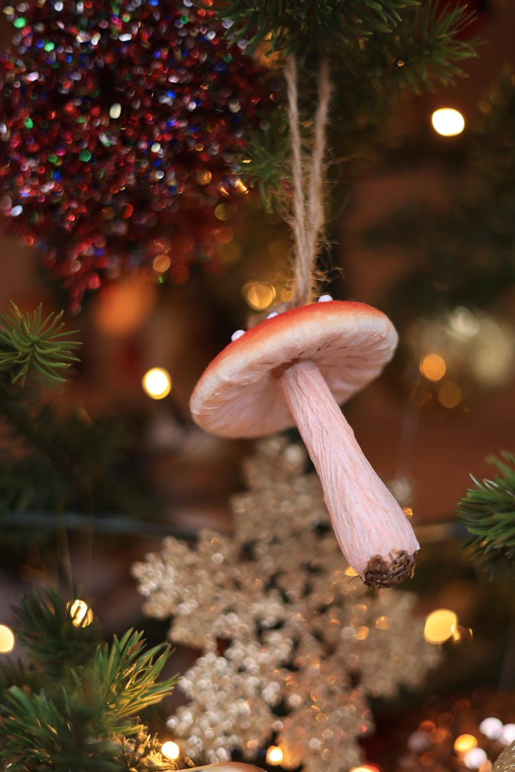 Christmas Mushroom On String