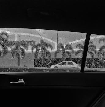View of a rainy street through a car window with raindrops and palm trees in black and white.