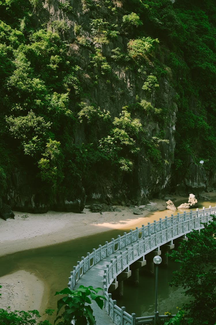 Bridge By The Mountains