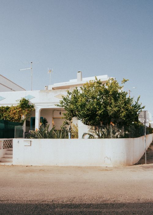 Gratis Immagine gratuita di @all'aperto, alberi, albufeira Foto a disposizione