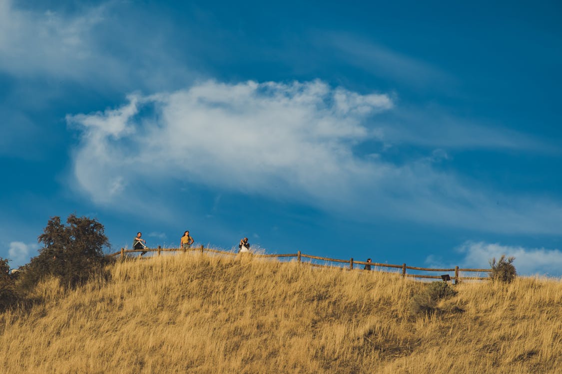 Four People Standing on Top of the Hill With Fence