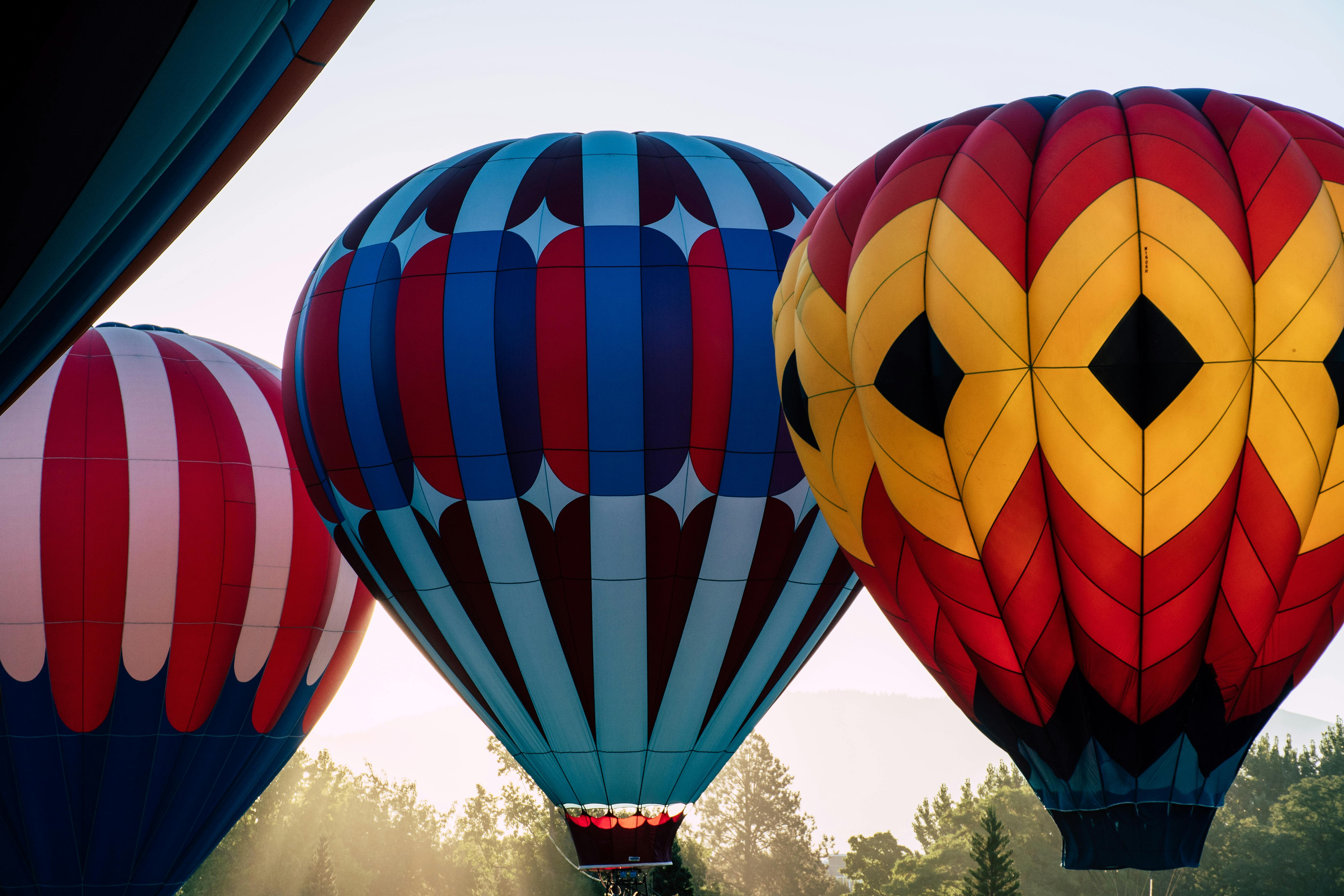 multicolored hot air balloons