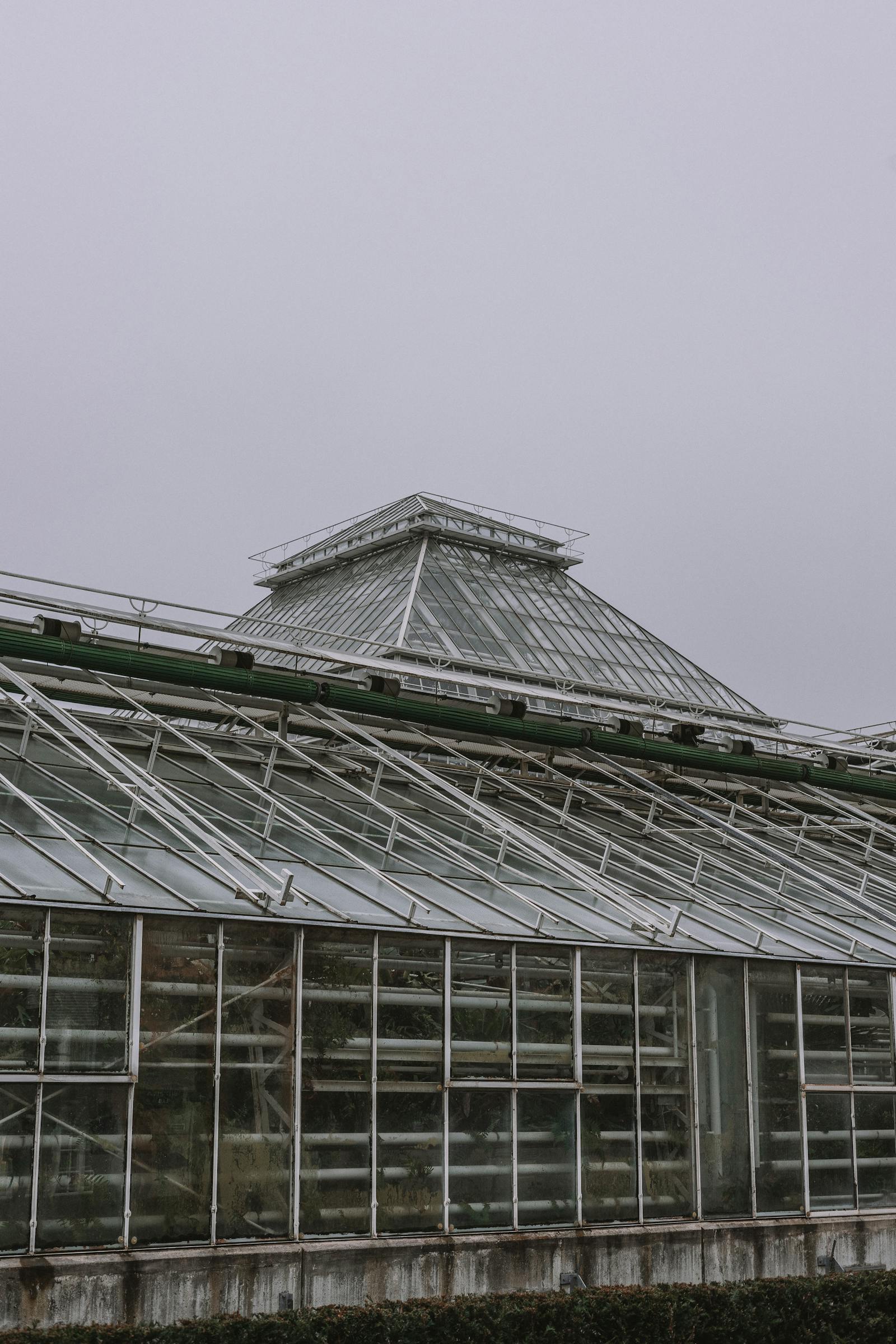 Greenhouse exterior with transparent panel system