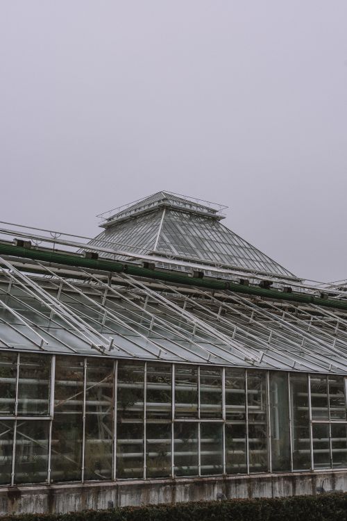 Free Low-angle view of a glass greenhouse exterior under an overcast sky, showcasing industrial design. Stock Photo