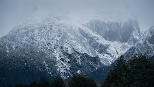 Gratis arkivbilde med bartre, dal, fjell