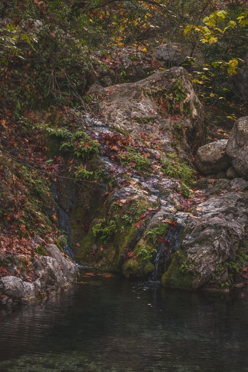 Free Serene waterfall cascading over mossy rocks, surrounded by lush forest vegetation. Stock Photo