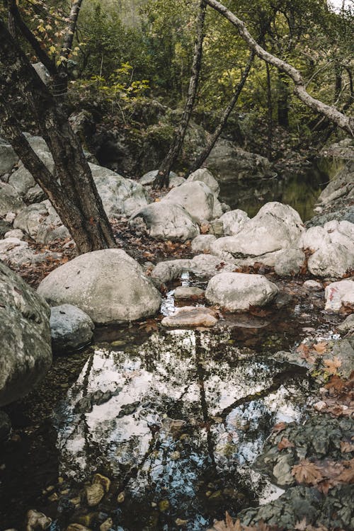 垂直ショット, 岩, 携帯壁紙の無料の写真素材