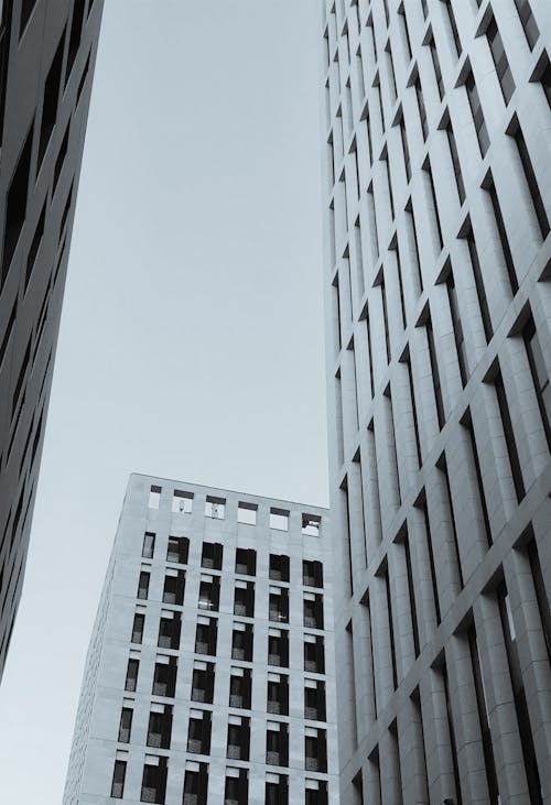 Free stock photo of architectural building, black and white, black sky Stock Photo