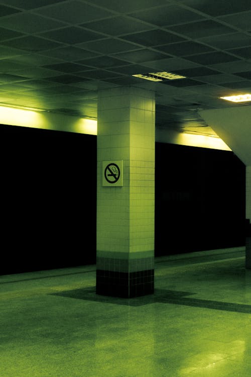 Gratis lagerfoto af grøn, lodret skud, metro