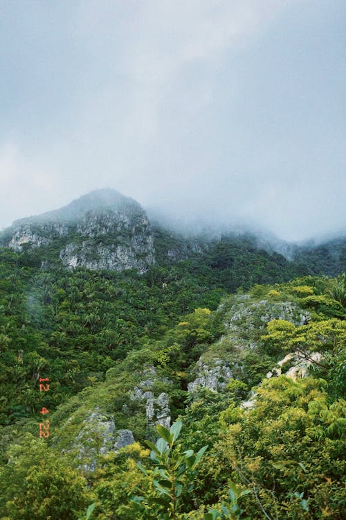 冒険, 垂直ショット, 山岳の無料の写真素材