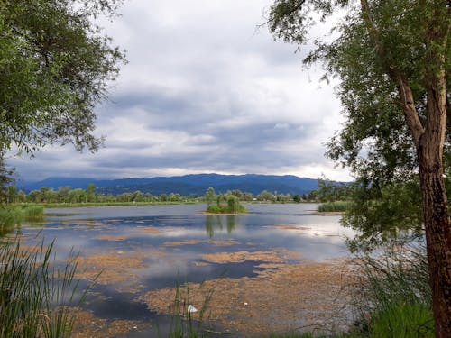 Ilmainen kuvapankkikuva tunnisteilla järvi, luonto, luontokuvaus