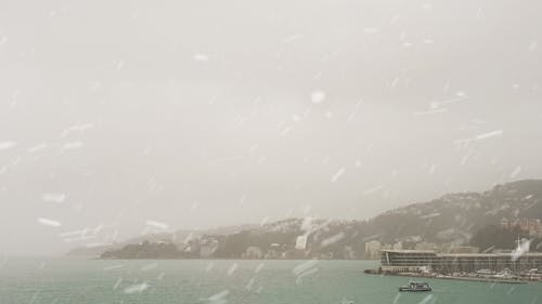 Free stock photo of bad weather, blizzard, city