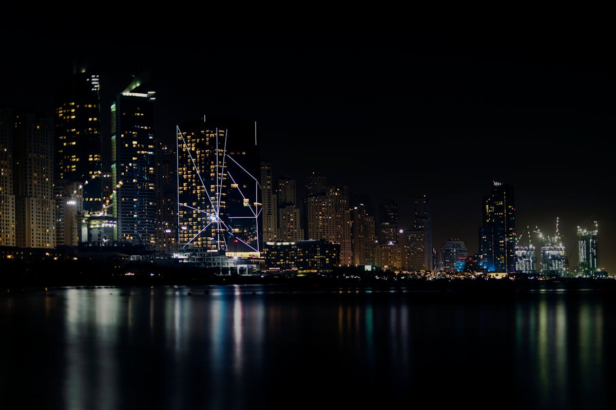 Pigeon control in Netanya, Israel — professional bird removal services