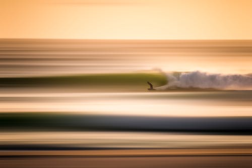 Free stock photo of surfing