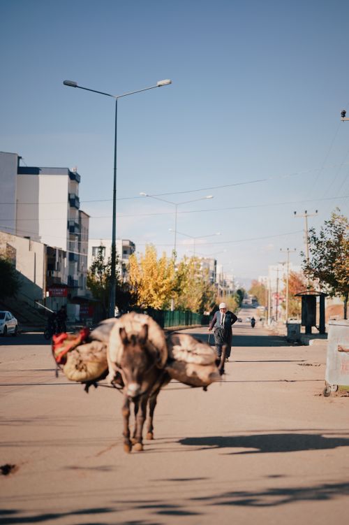 Free A donkey loaded with goods walks through a street in Adıyaman, Turkey, on a sunny day. Stock Photo