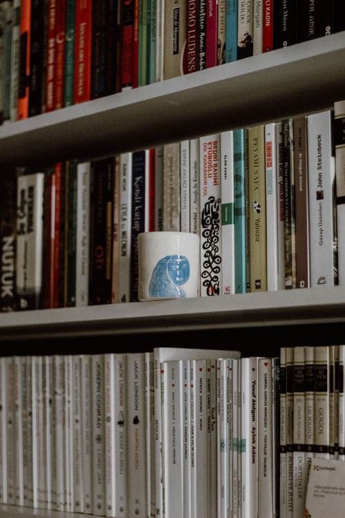Free Books neatly arranged on bookshelves with a ceramic cup, creating a cozy library atmosphere in Istanbul. Stock Photo
