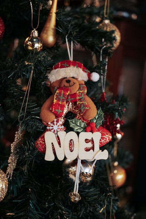 Kostenloses Stock Foto zu noel, sankt-hut, teddybär