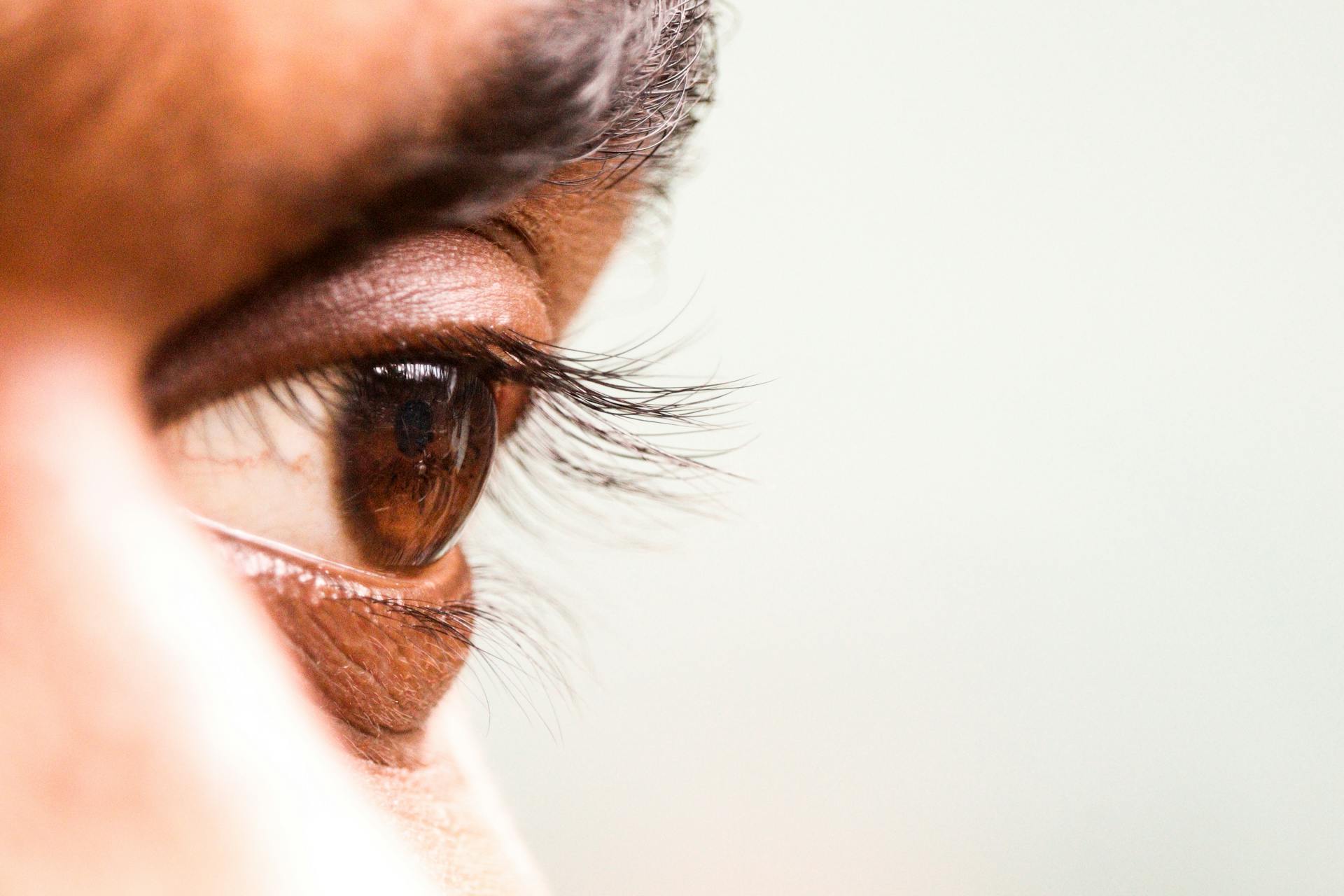 Close-up Of Brown Human Eye