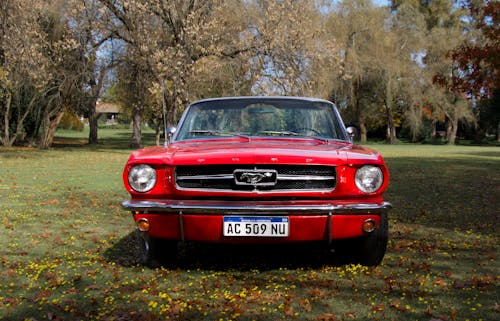 Close-Up Shot of a Red Ford Mustang on Grass Field