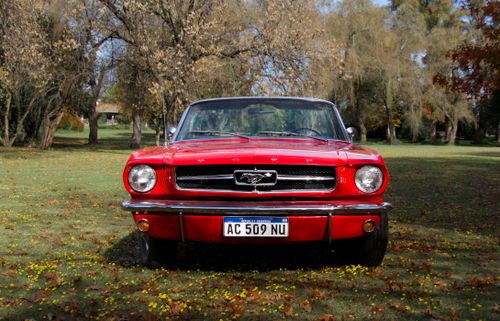 Free Front view of a classic red Ford Mustang parked in a scenic park, showcasing its vintage design. Stock Photo