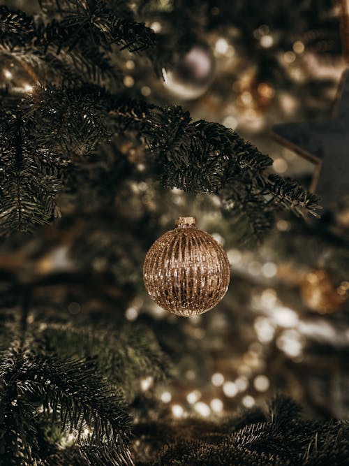 Christmas Ball Hanging on a Christmas Tree