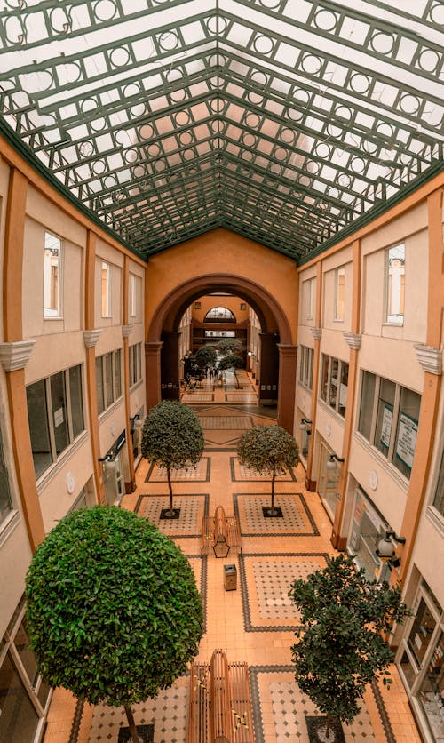 Wide Angle Shot of a Building Interior with Glass Roof, Arched Doorways and Trees Growing Inside 