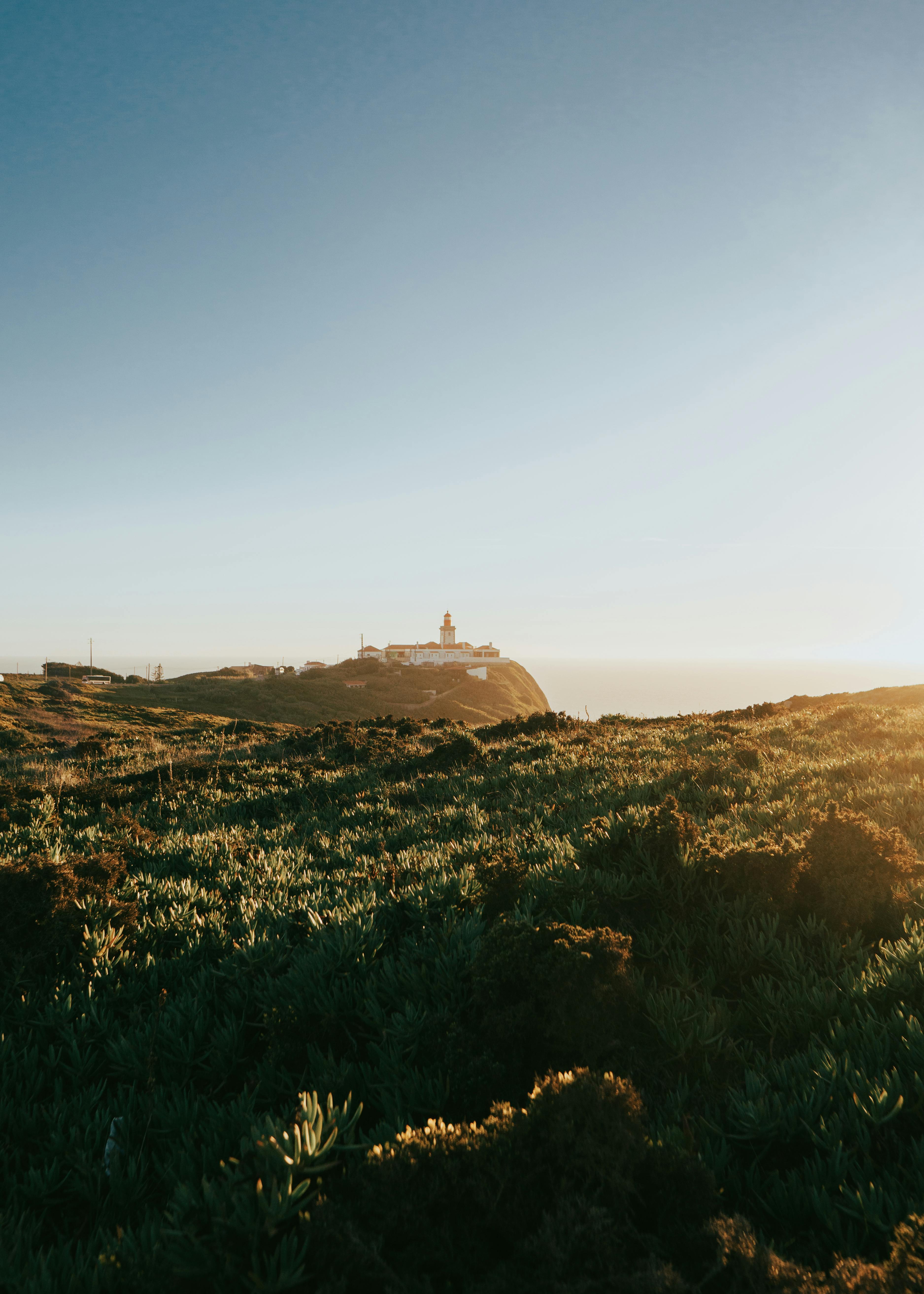 Creating a Serene Meditation Space with Natural Elements