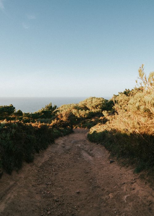 Free A tranquil dirt path leading through lush greenery towards a distant ocean view under a clear summer sky. Stock Photo