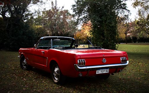 1965 Ford Mustang on autumn meadow