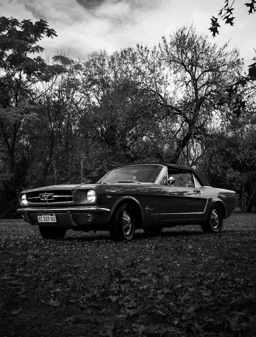 A Grayscale of a Vintage Mustang at a Park