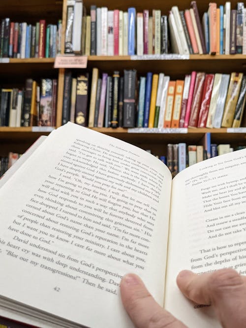 Free stock photo of book, book reading, books