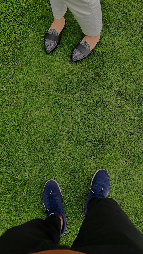 Free stock photo of beauty of nature, feet, field of grass