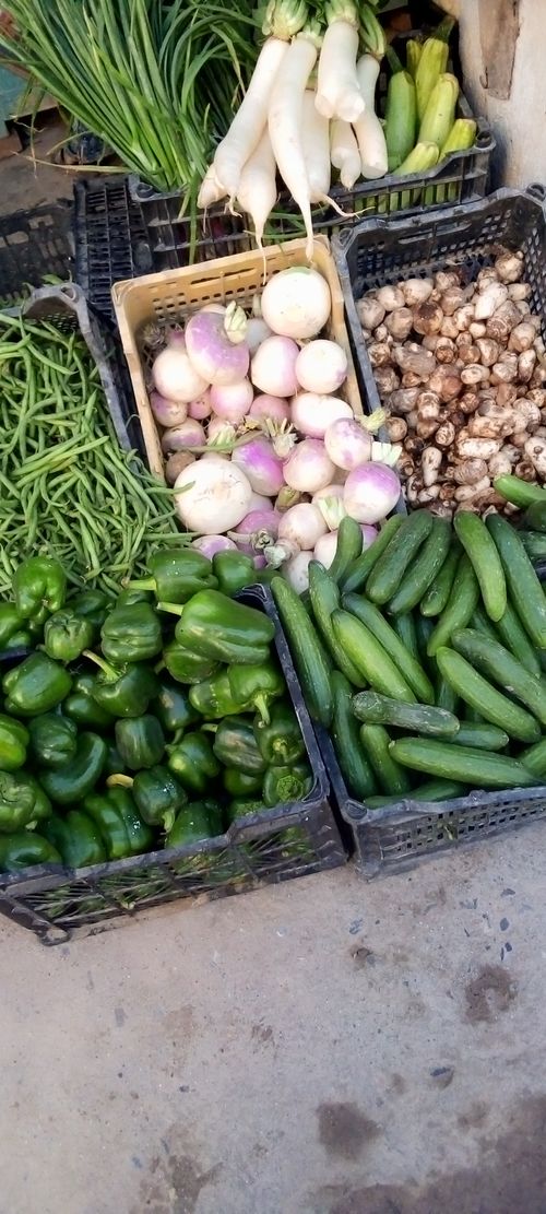 Free Vegetables Stock Photo